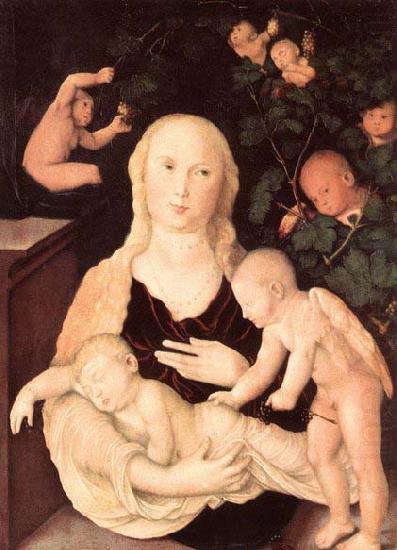 Virgin of the Vine Trellis, Hans Baldung Grien